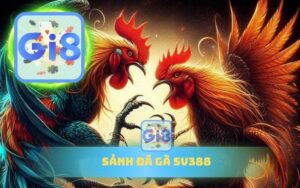 SẢNH ĐÁ GF SV388 TRÊN GI88