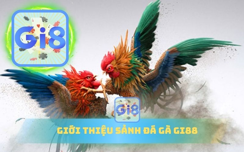 GIỚI THIỆU SẢNH ĐÁ GÀ GI88